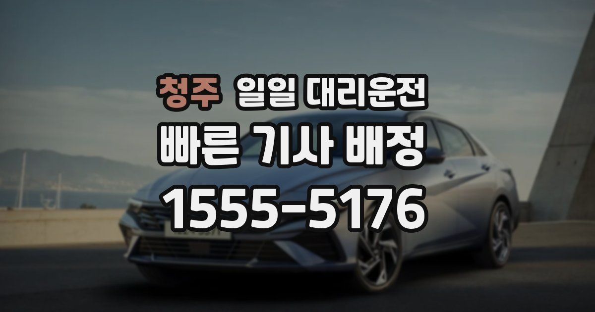 청주 일일 대리운전