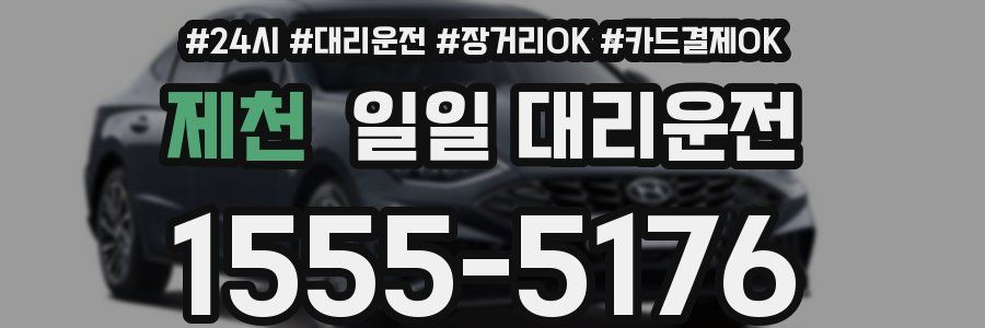 제천 일일 대리운전