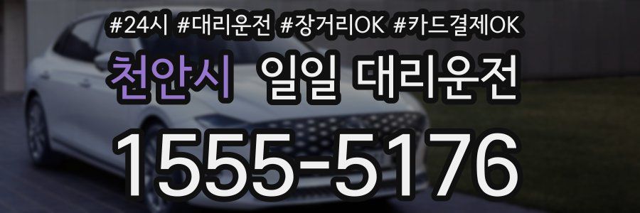 천안시 일일 대리운전