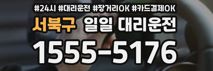 서북구 일일 대리운전