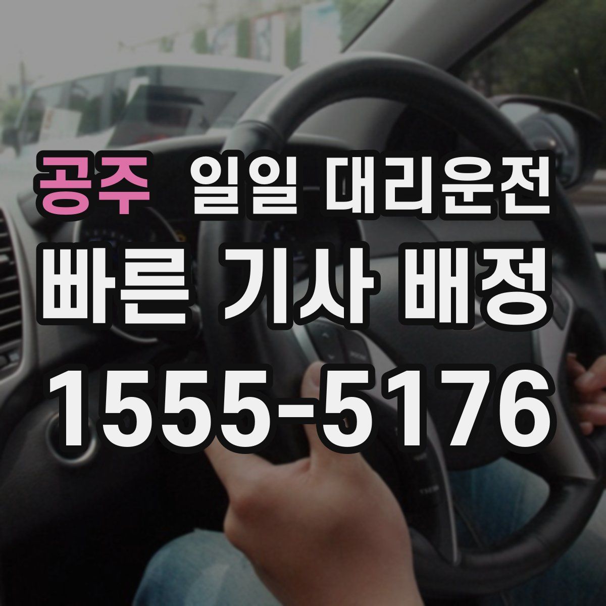 공주 일일 대리운전