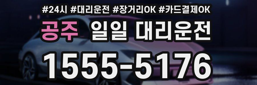 공주 일일 대리운전