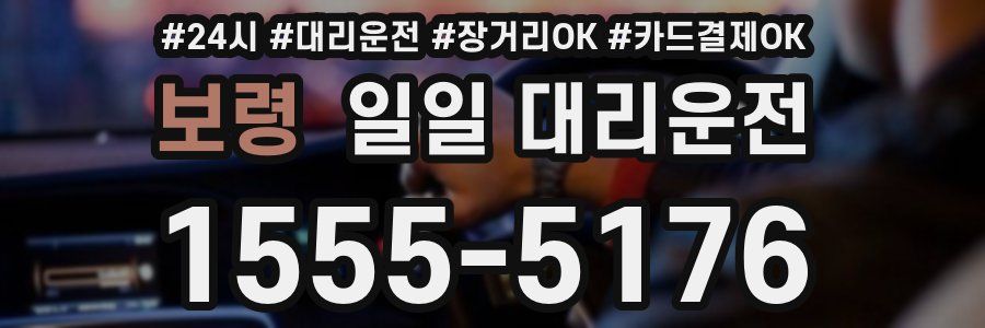 보령 일일 대리운전