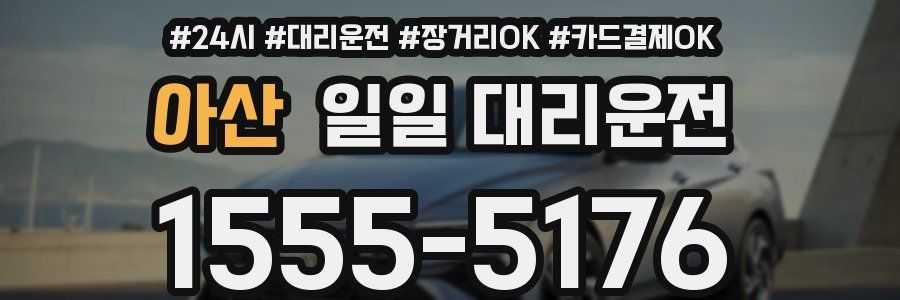아산 일일 대리운전