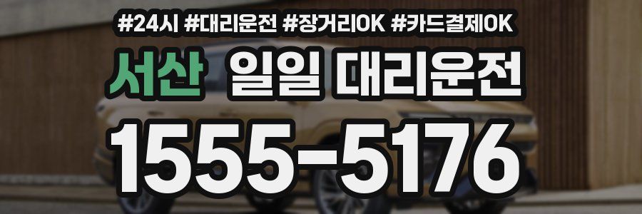 서산 일일 대리운전