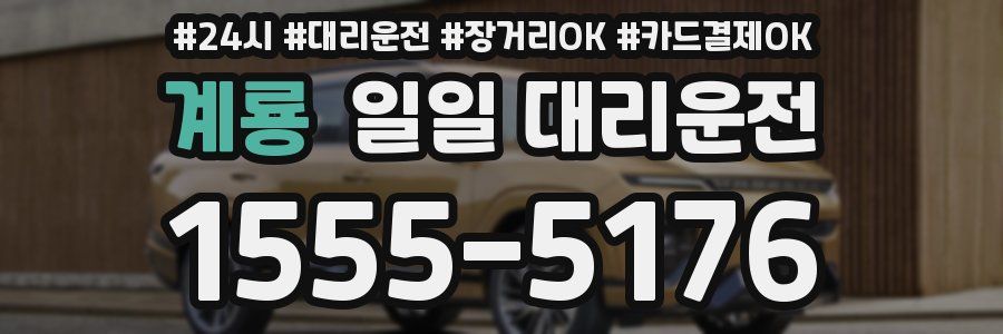 계룡 일일 대리운전