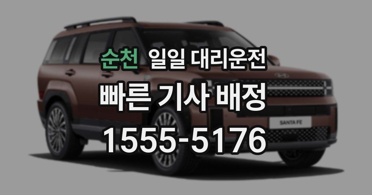 순천 일일 대리운전