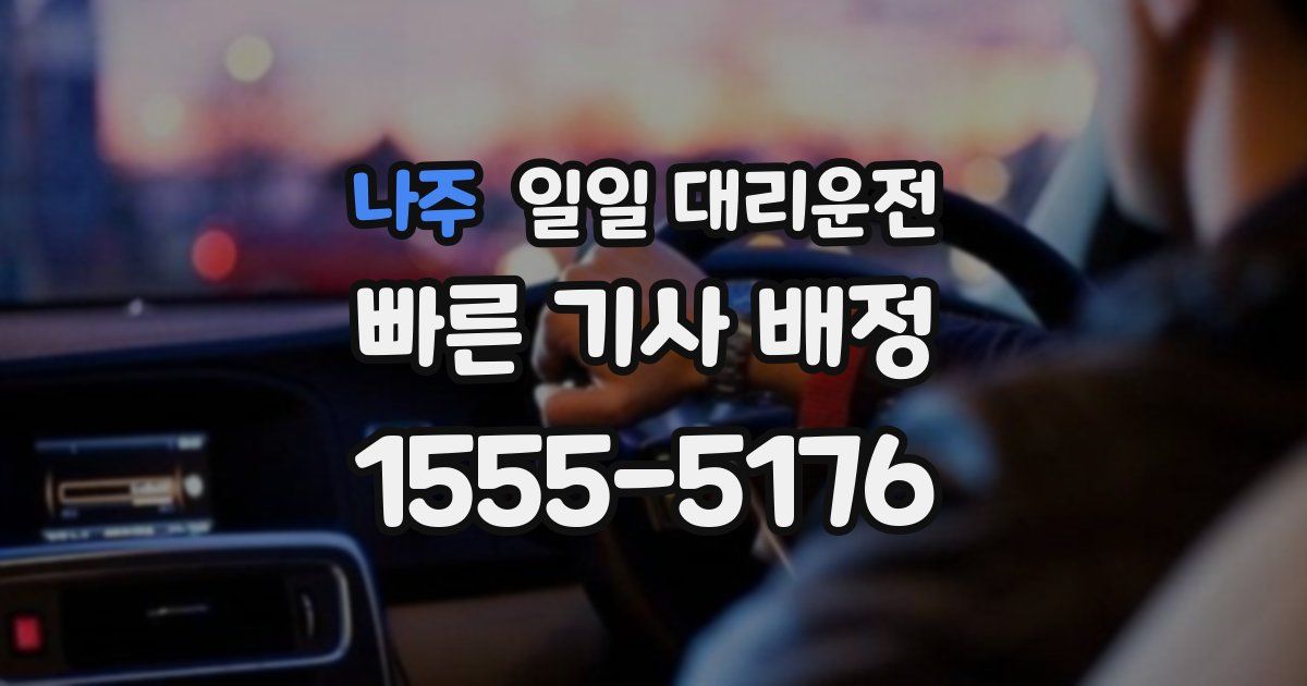 나주 일일 대리운전
