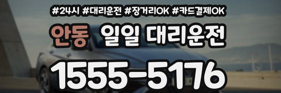 안동 일일 대리운전