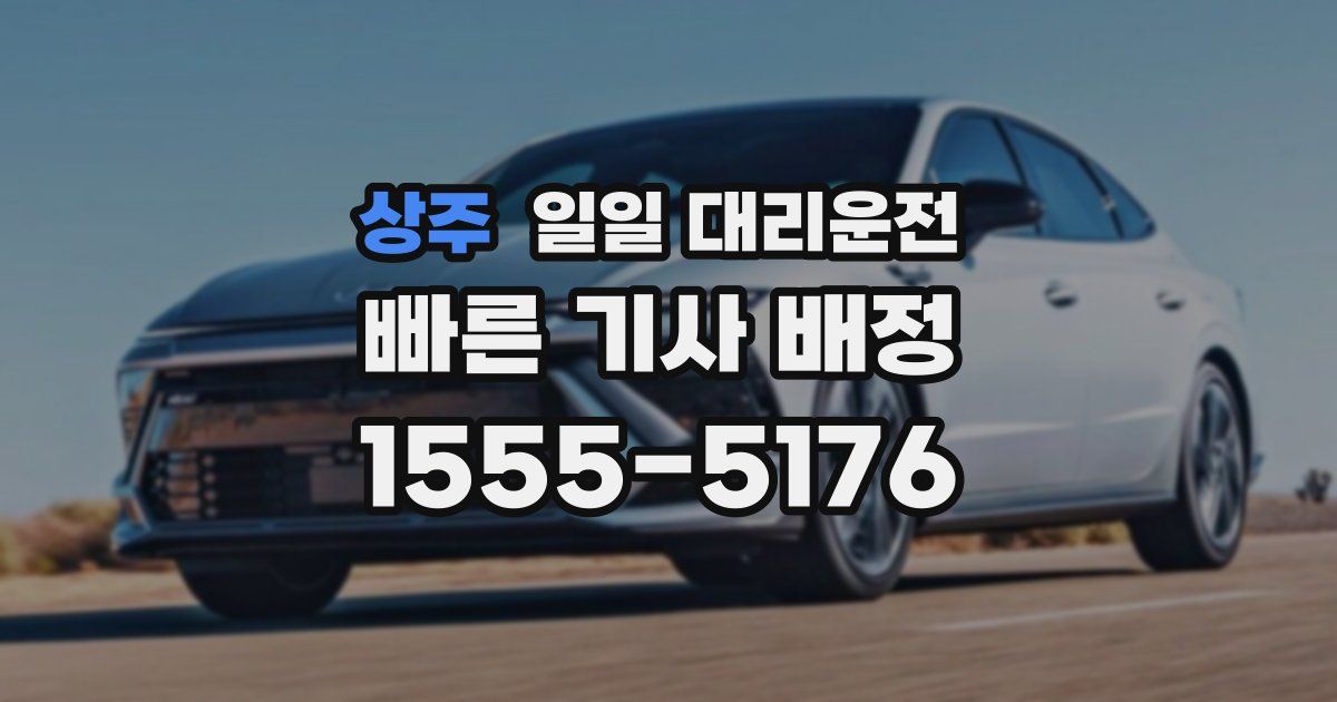 상주 일일 대리운전