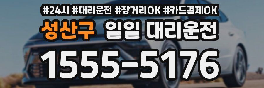 성산구 일일 대리운전