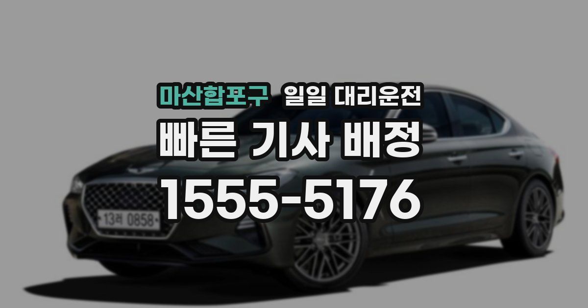 마산합포구 일일 대리운전