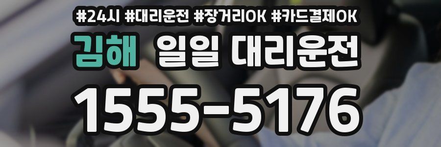 김해 일일 대리운전