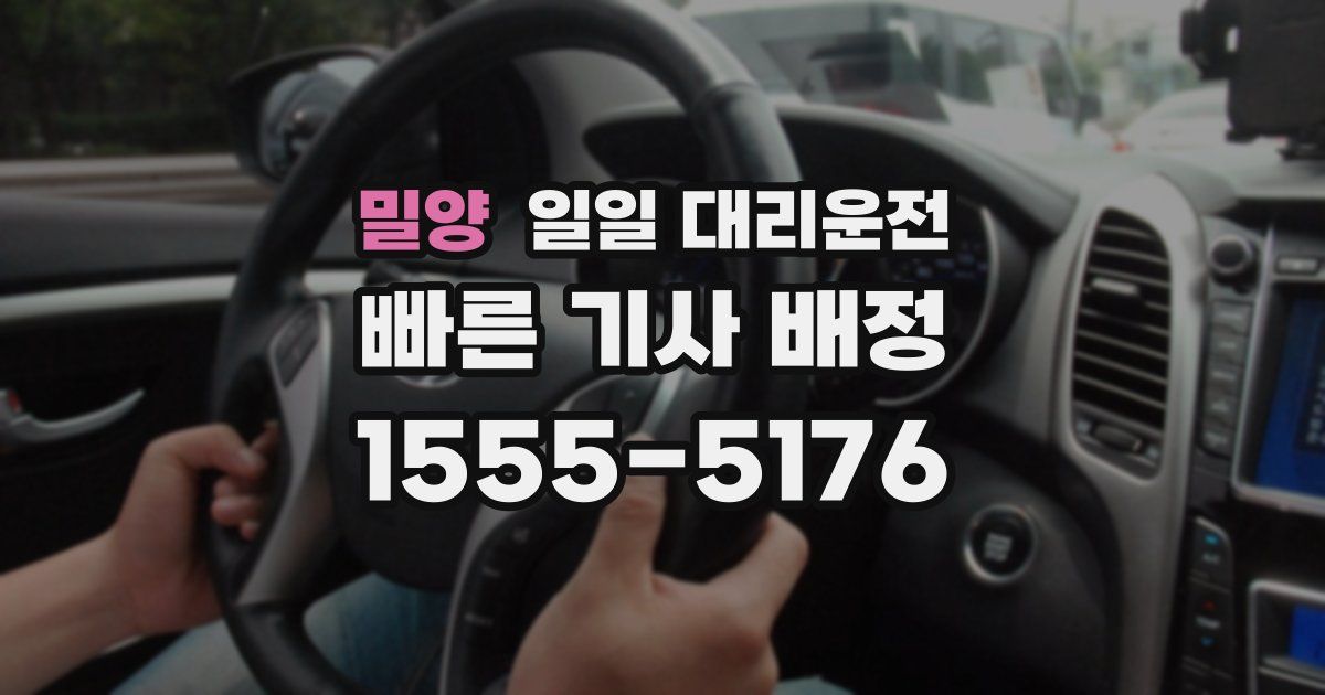 밀양 일일 대리운전