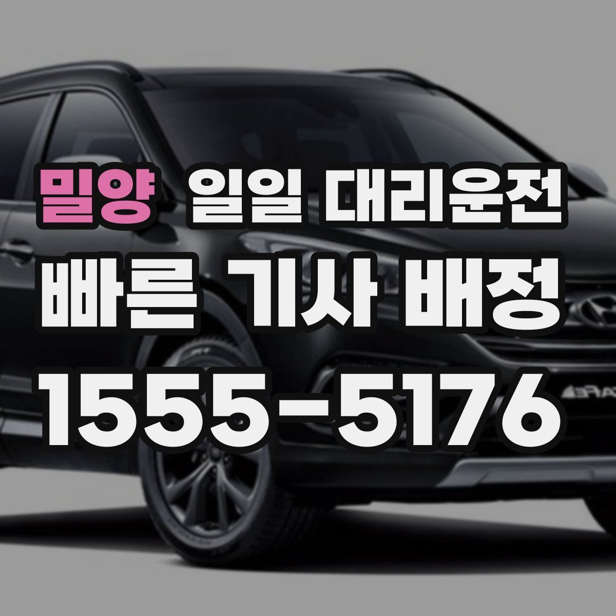 밀양 일일 대리운전
