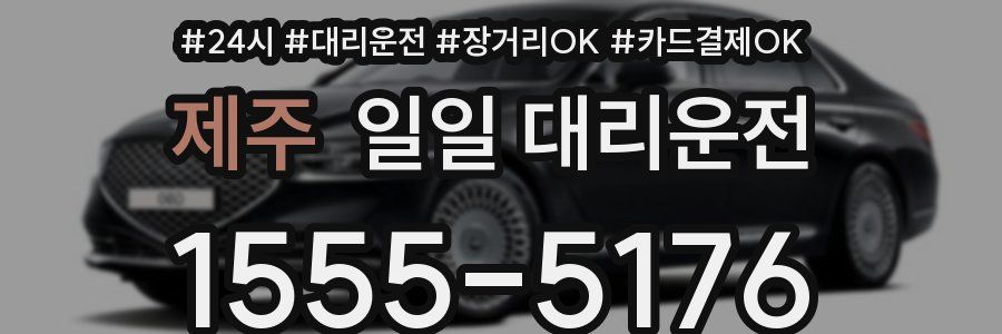 제주 일일 대리운전