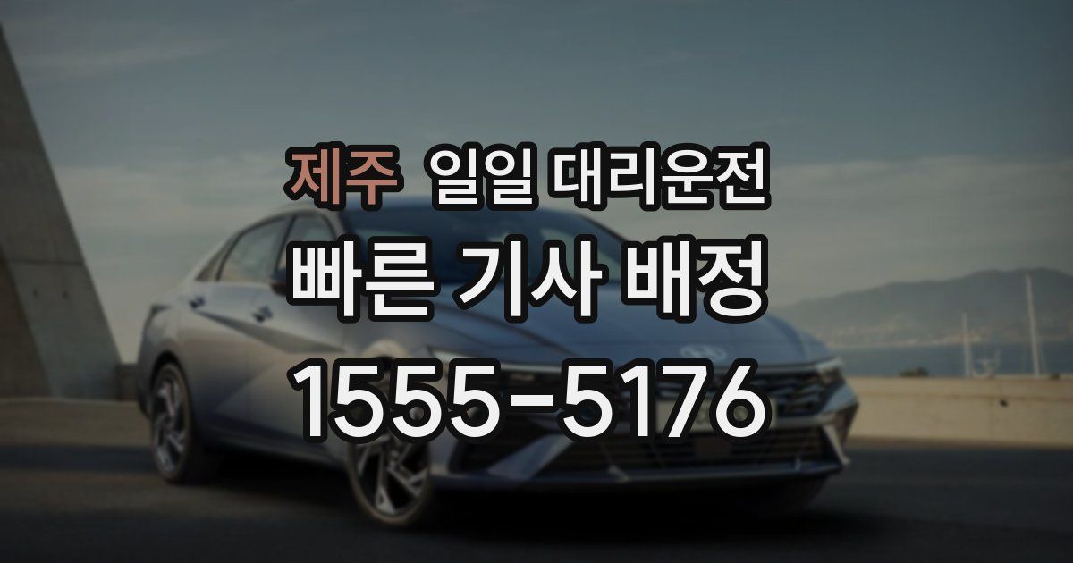 제주 일일 대리운전