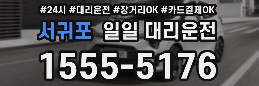 서귀포 일일 대리운전