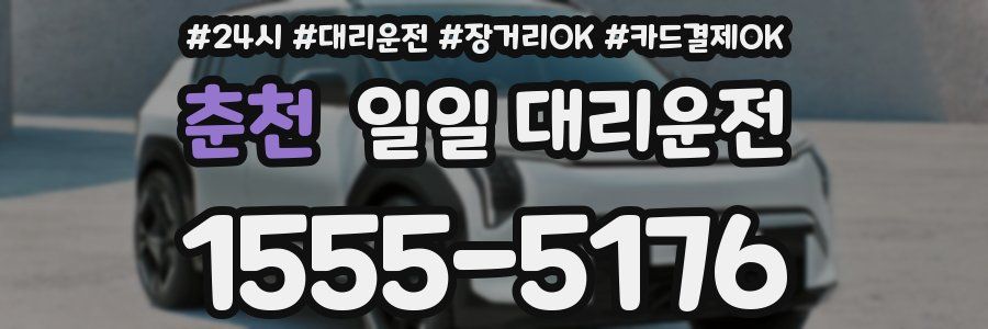 춘천 일일 대리운전
