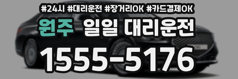 원주 일일 대리운전
