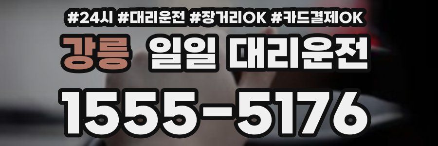 강릉 일일 대리운전