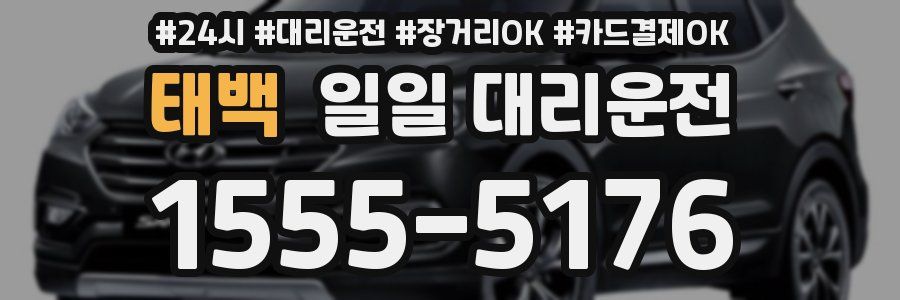 태백 일일 대리운전