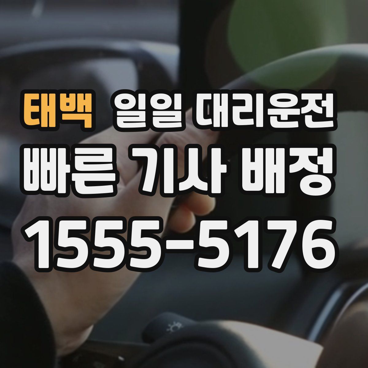 태백 일일 대리운전