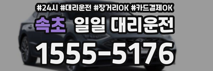 속초 일일 대리운전