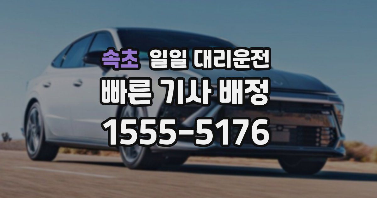 속초 일일 대리운전