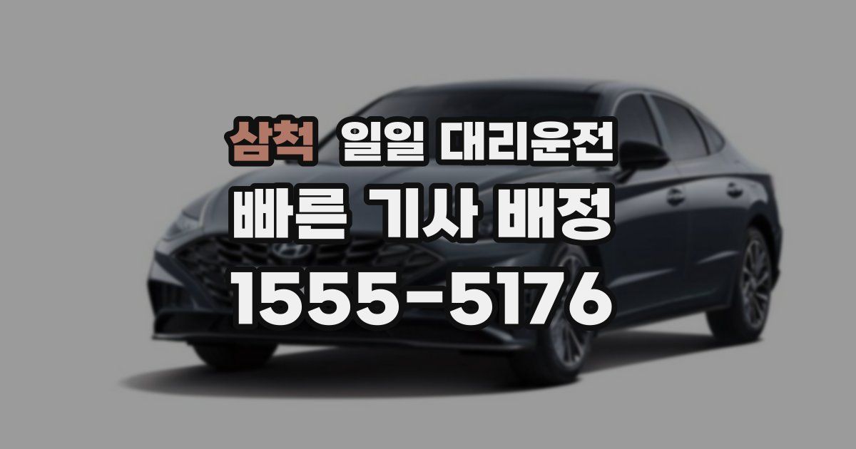 삼척 일일 대리운전