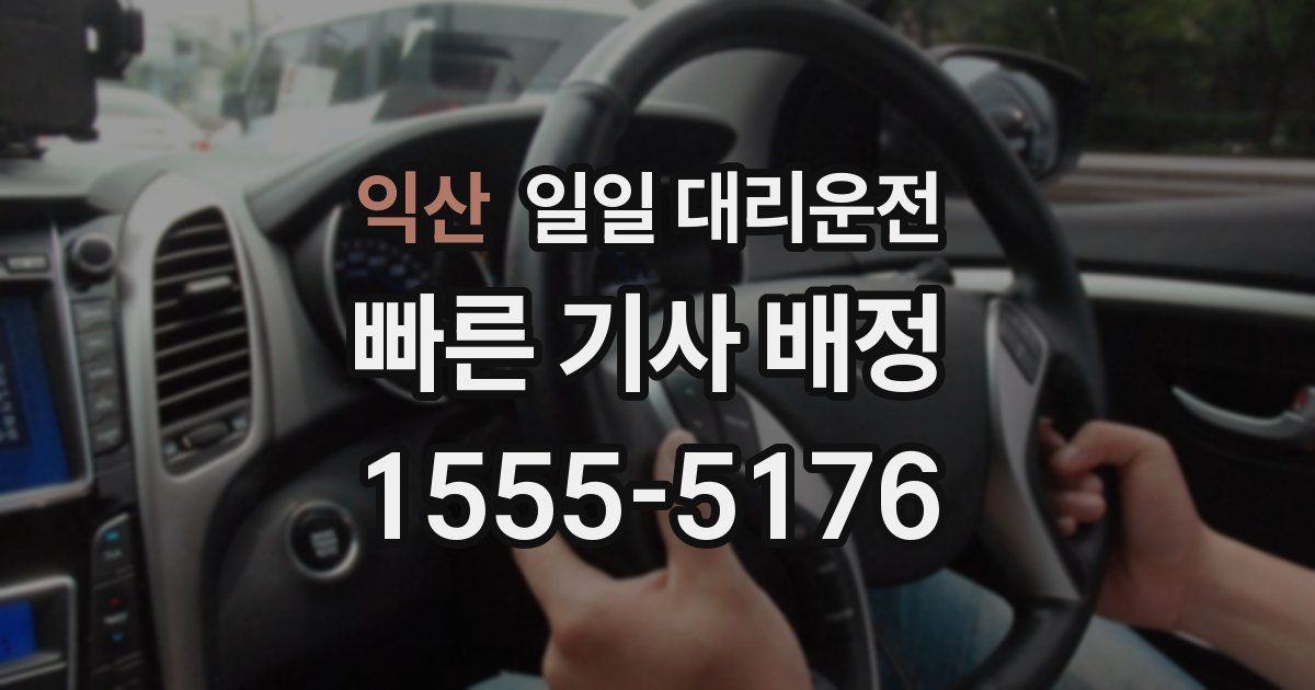 익산 일일 대리운전