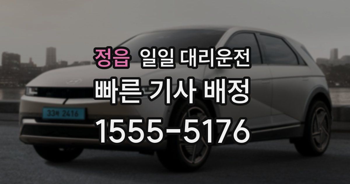 정읍 일일 대리운전