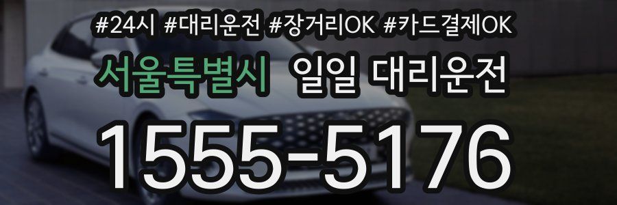 서울특별시 일일 대리운전