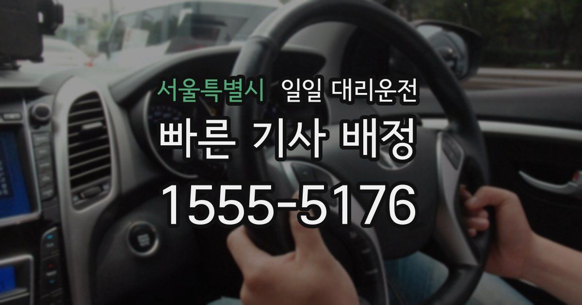 서울특별시 일일 대리운전