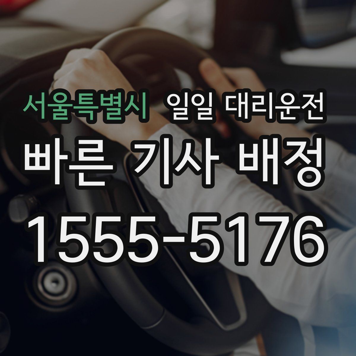 서울특별시 일일 대리운전