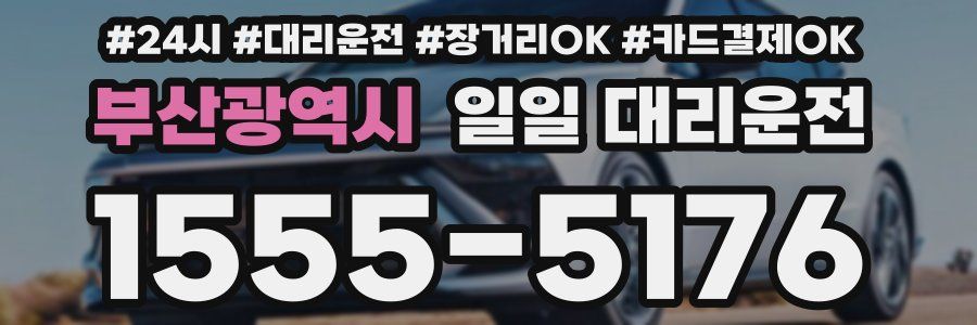 부산광역시 일일 대리운전