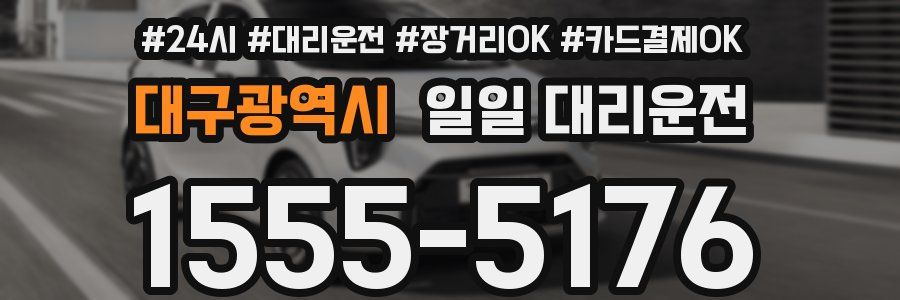 대구광역시 일일 대리운전