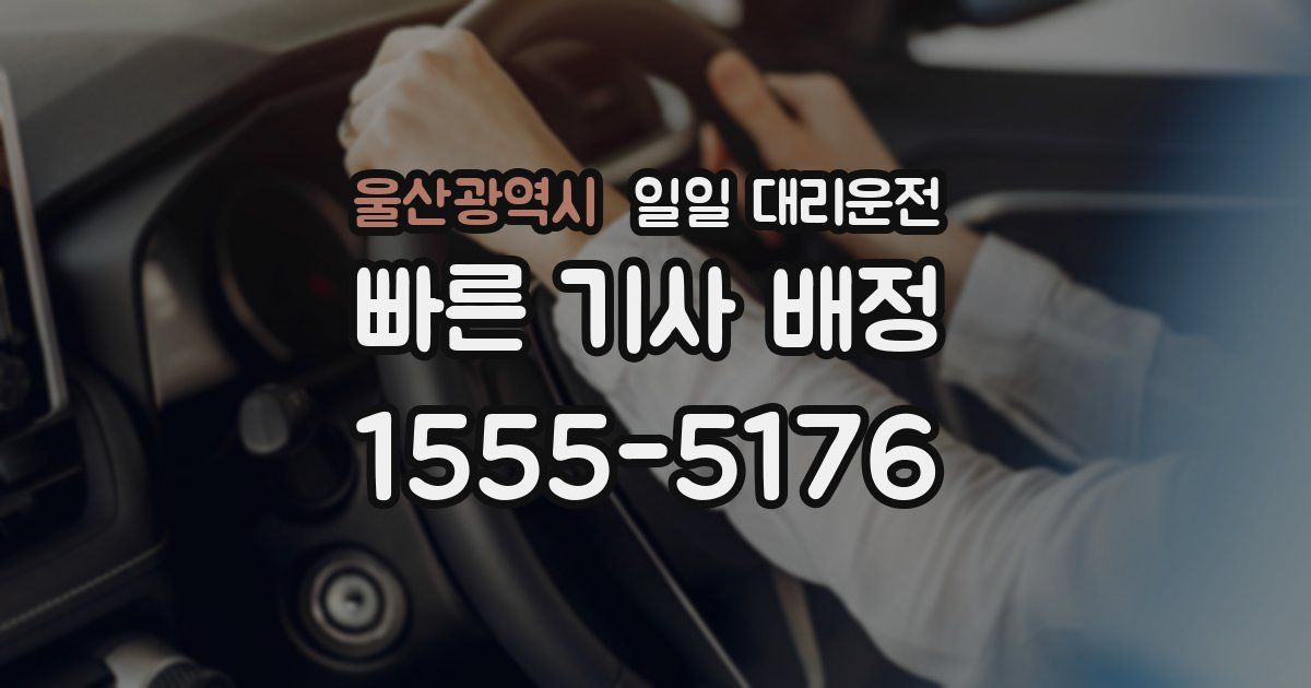 울산광역시 일일 대리운전