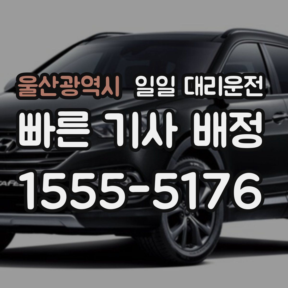 울산광역시 일일 대리운전