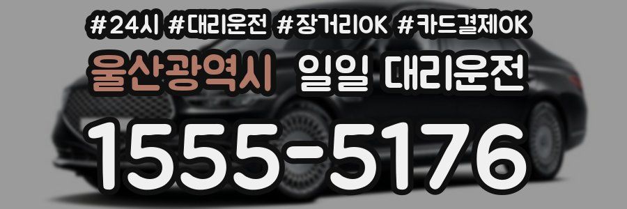 울산광역시 일일 대리운전