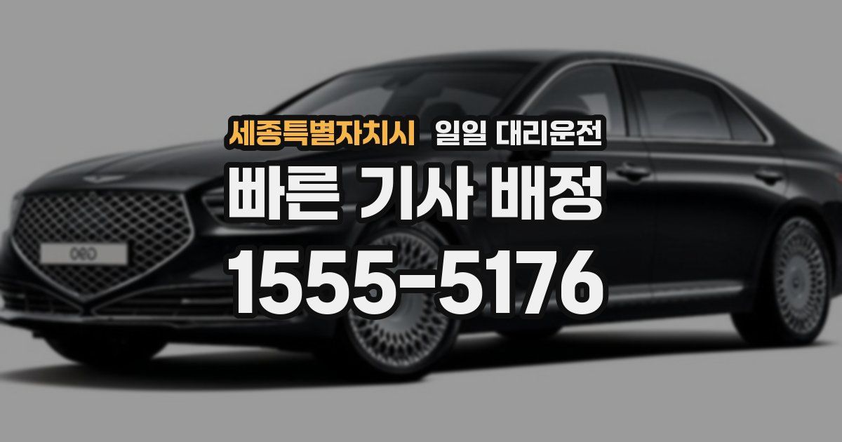 세종특별자치시 일일 대리운전