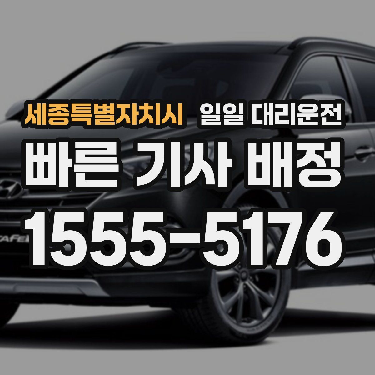 세종특별자치시 일일 대리운전