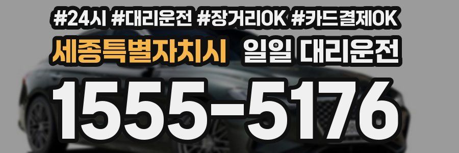 세종특별자치시 일일 대리운전