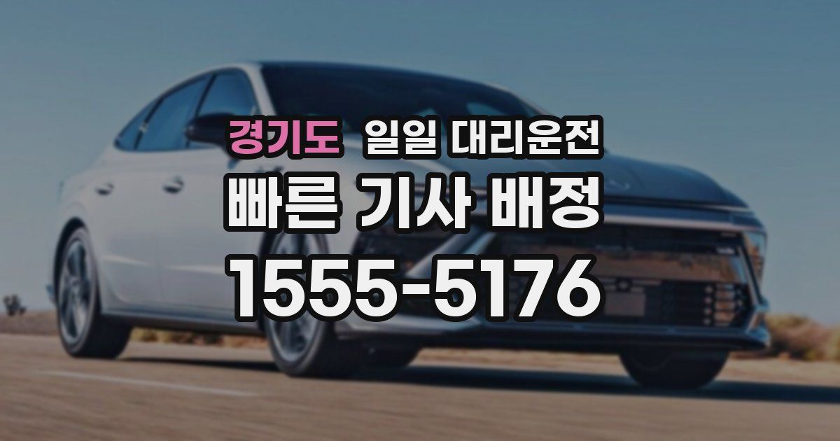 경기도 일일 대리운전
