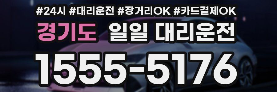 경기도 일일 대리운전
