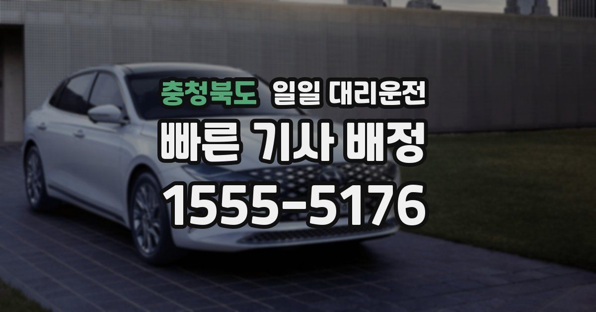 충청북도 일일 대리운전
