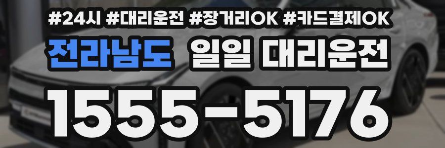 전라남도 일일 대리운전