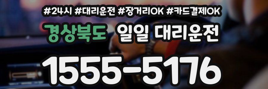 경상북도 일일 대리운전