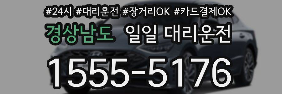 경상남도 일일 대리운전