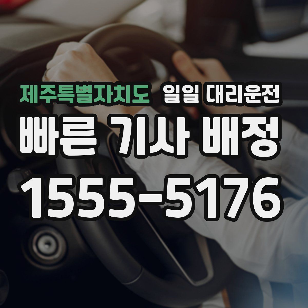 제주특별자치도 일일 대리운전